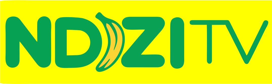 NDIZI TV
